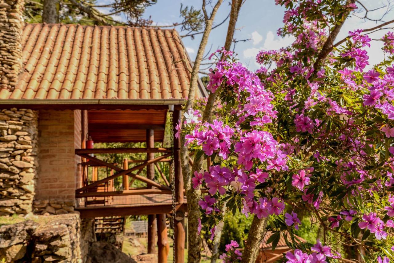 Chales Araucaria E Manaca Villa São Bento do Sapucaí Buitenkant foto