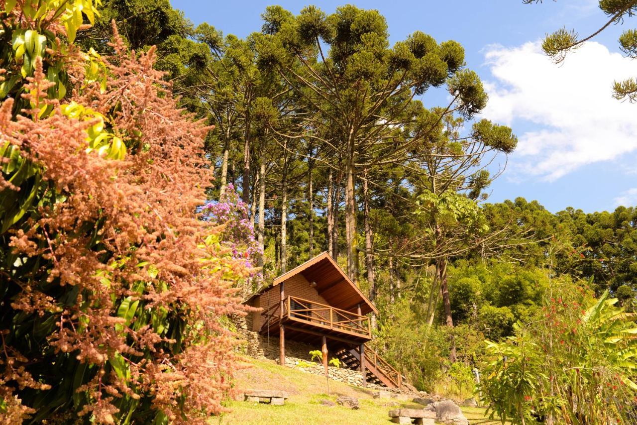 Chales Araucaria E Manaca São Bento do Sapucaí Buitenkant foto