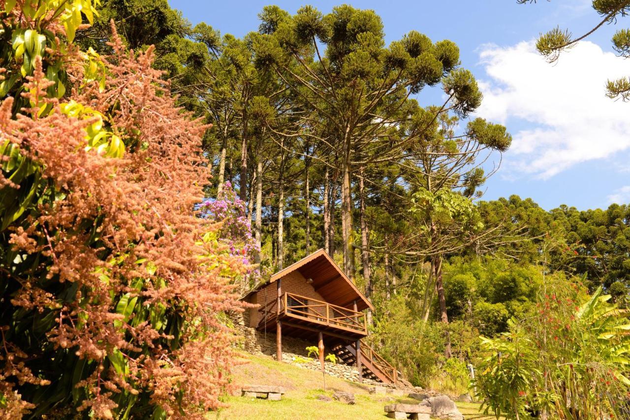 Chales Araucaria E Manaca Villa São Bento do Sapucaí Buitenkant foto