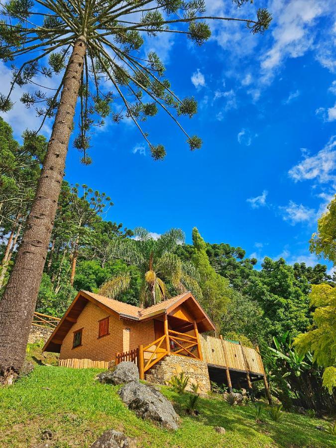 Chales Araucaria E Manaca Villa São Bento do Sapucaí Buitenkant foto