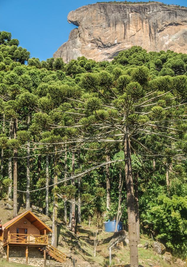 Chales Araucaria E Manaca Villa São Bento do Sapucaí Buitenkant foto