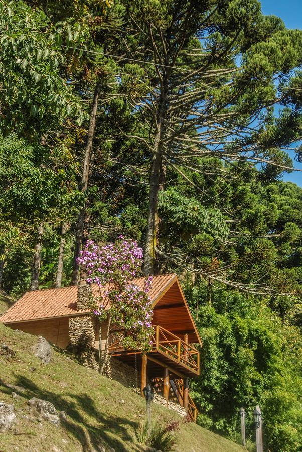 Chales Araucaria E Manaca Villa São Bento do Sapucaí Buitenkant foto